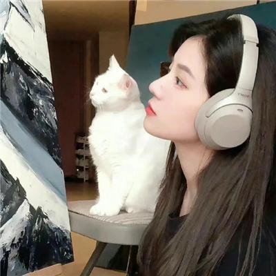 完美音调2